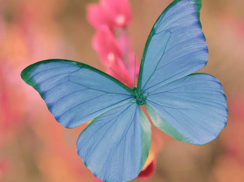 schilddruesenbehandlung-m Schilddrüsenbehandlung